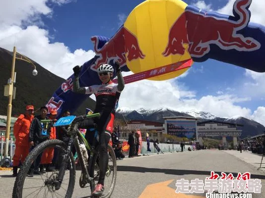 2025年热门期待:骑士与单车(自行车)发售时间全面介绍 2025年热门期待:骑士与单车(自行车)发售时间全面介绍