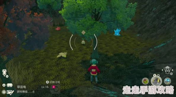 2025热门探索：阿尔宙斯游戏中奇鲁莉安最新位置详解