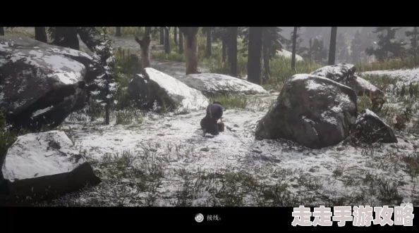 2025年荒野大镖客2背包扩大与升级全新方法详解 2025年荒野大镖客2背包扩大与升级全新方法详解