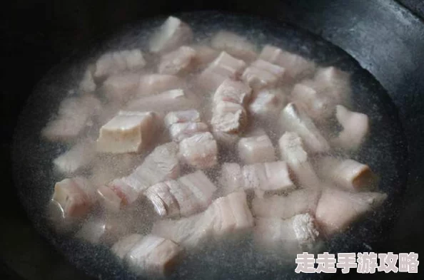 2025年掌握最新技巧,轻松收服阿芝莎的全方位指南 2025年掌握最新技巧,轻松收服阿芝莎的全方位指南